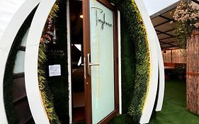 Beehouse Tinygreen Jacuzzi Opcional